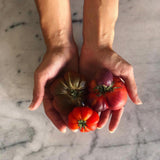 L'ART DE SUBLIMER LES LEGUMES | 15.09.2026