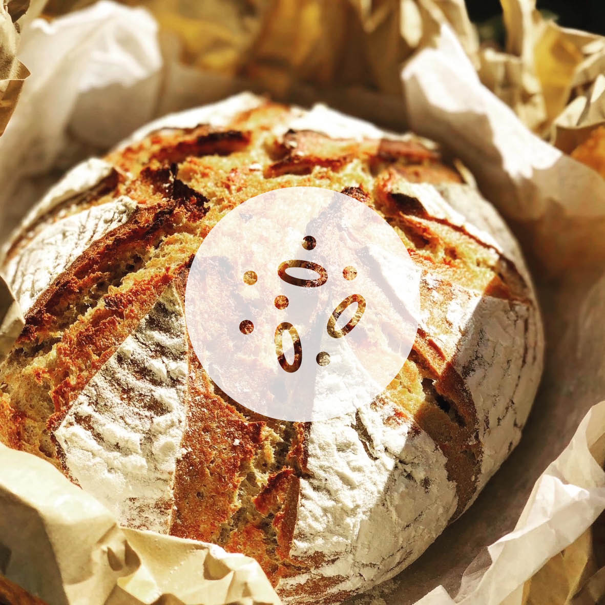 ARE YOU READY TO START YOUR SOURDOUGH ADVENTURE? | 04.16.2024